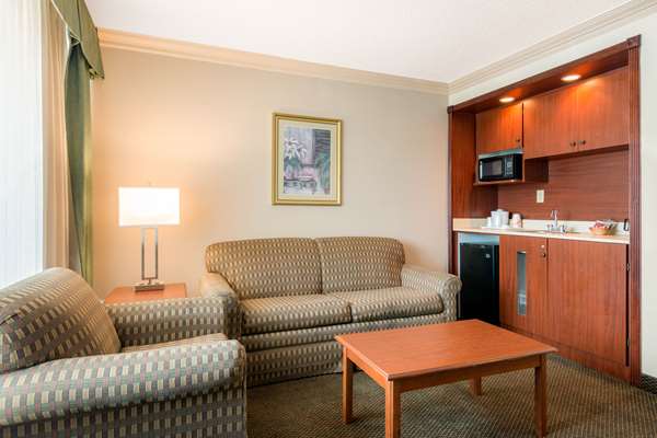 Suite - Quality Inn & Suites Tarpon Springs