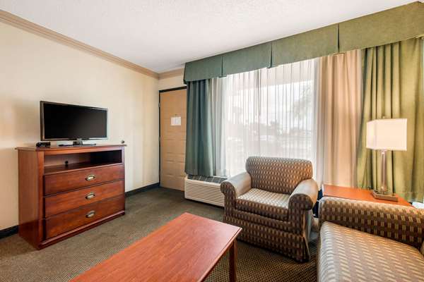 Suite - Quality Inn & Suites Tarpon Springs
