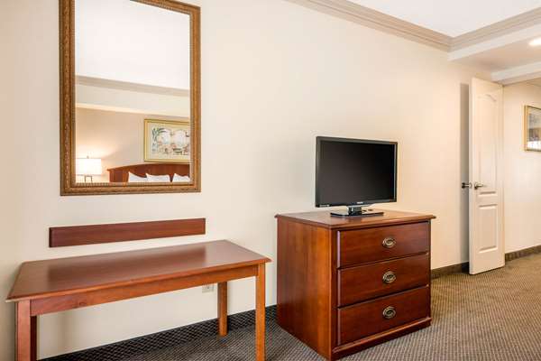 Suite - Quality Inn & Suites Tarpon Springs