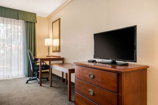 Suite - Quality Inn & Suites Tarpon Springs