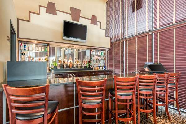 Bar - Quality Inn & Suites Tarpon Springs
