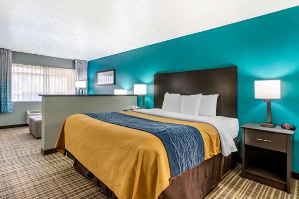 Suite - Comfort Inn Sun City Center - I-75, Exit 240