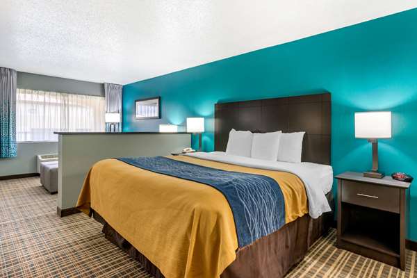 Suite - Comfort Inn Sun City Center - I-75, Exit 240