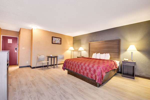  - Econo Lodge Busch Gardens Tampa