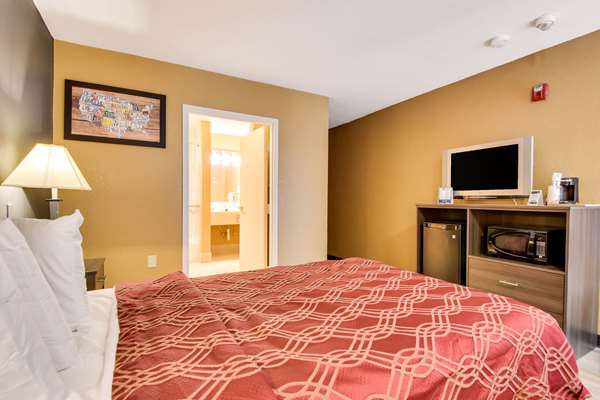  - Econo Lodge Busch Gardens Tampa