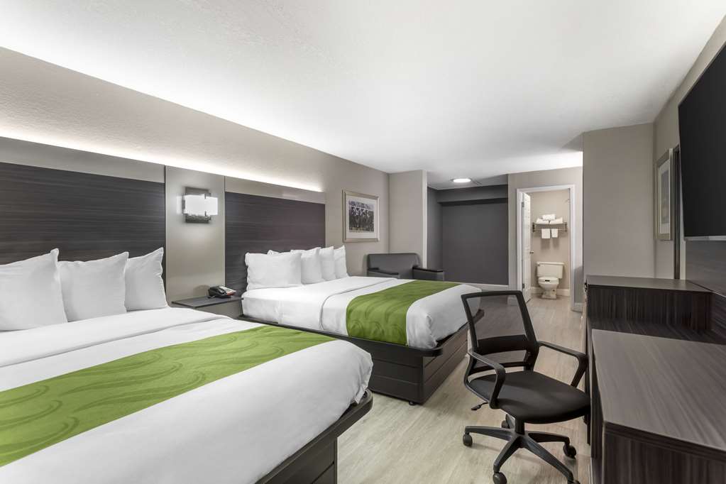 QUALITY INN GAINESVILLE NEAR UNIVER-guestroom-Guest Room,On-Site.jpg