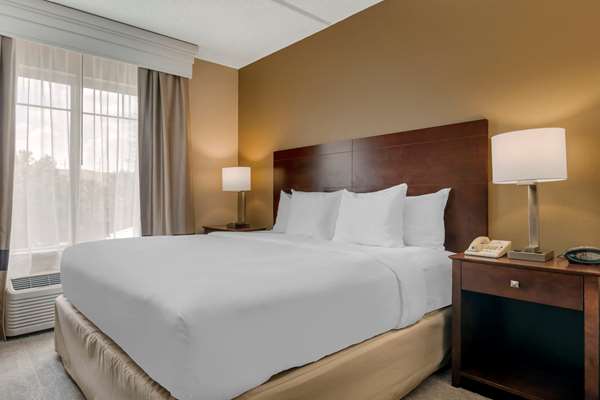 Suite - Comfort Suites Universal Studios Orlando - I-4, Exit 75B
