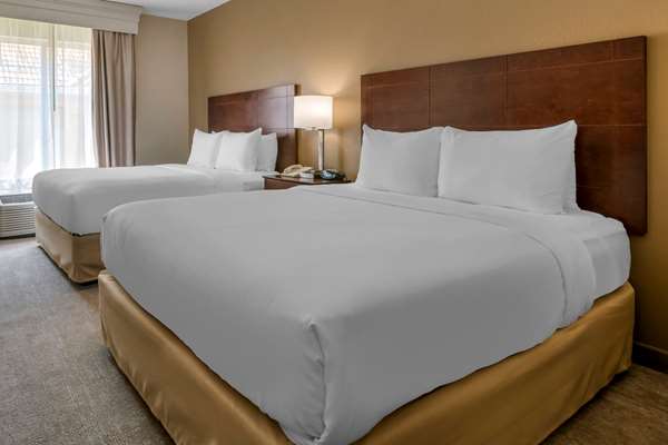 Suite - Comfort Suites Universal Studios Orlando - I-4, Exit 75B