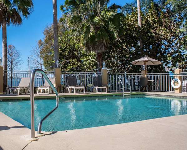 Pool - Comfort Suites Clearwater
