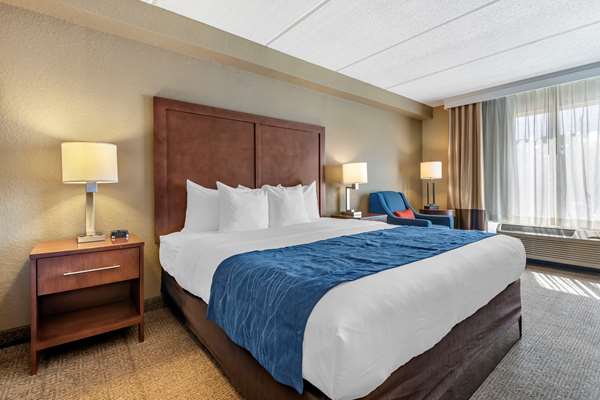 Suite - Comfort Inn & Suites Sanford - I-4, Exit 101C