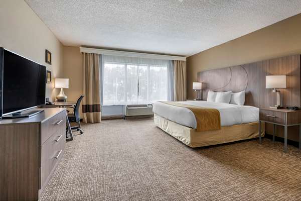 Suite - Comfort Suites Sawgrass Tamarac