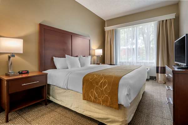 Suite - Comfort Suites Sawgrass Tamarac