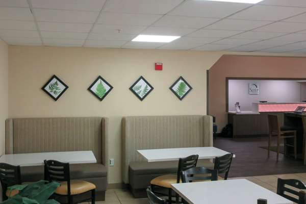 Amenities - Sleep Inn & Suites Dania Beach