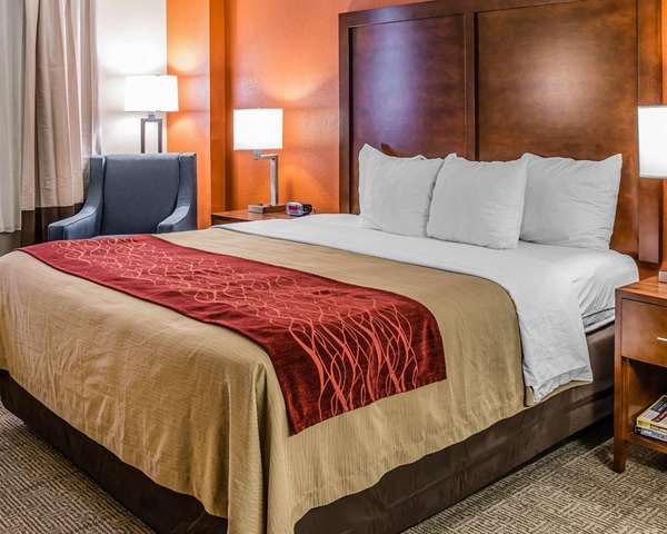  - Comfort Inn & Suites Lakeland - I-4, Exit 32