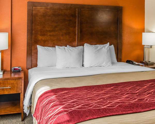 Suite - Comfort Inn & Suites Lakeland - I-4, Exit 32