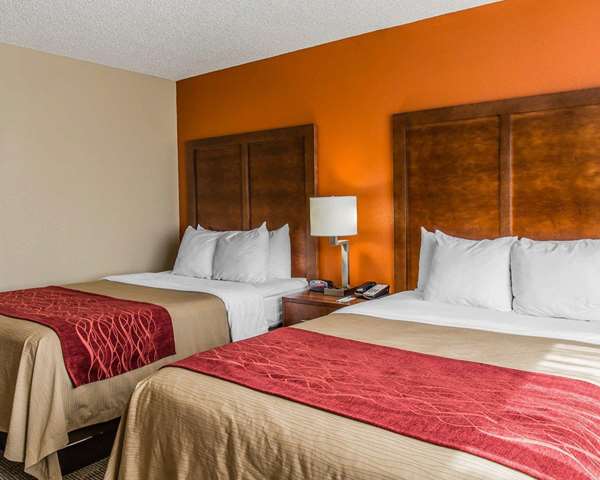 Suite - Comfort Inn & Suites Lakeland - I-4, Exit 32