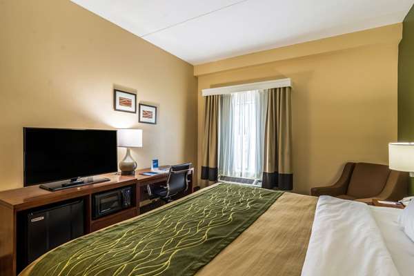 Suite - Comfort Inn & Suites North Panama City