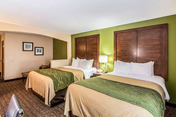 Suite - Comfort Inn & Suites North Panama City
