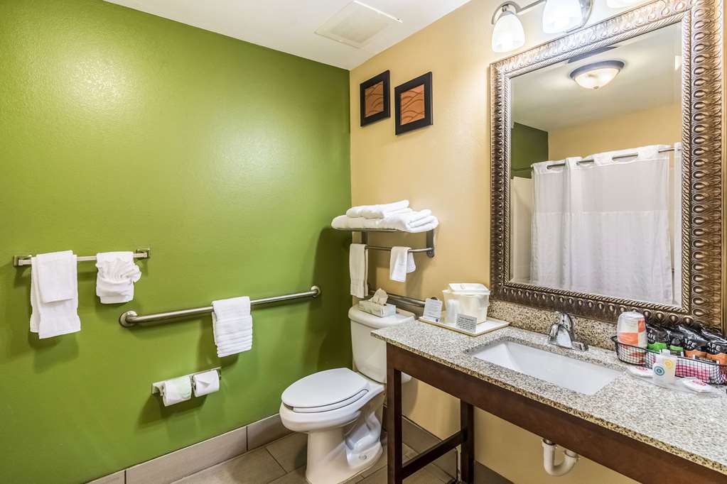 COMFORT INN AND SUITES PANAMA CITY-guestroom-Guest Room,Bathroom,On-Site.jpg