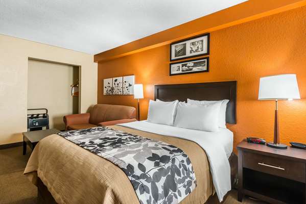Suite - Sleep Inn & Suites Ocala - I-75, Exit 341