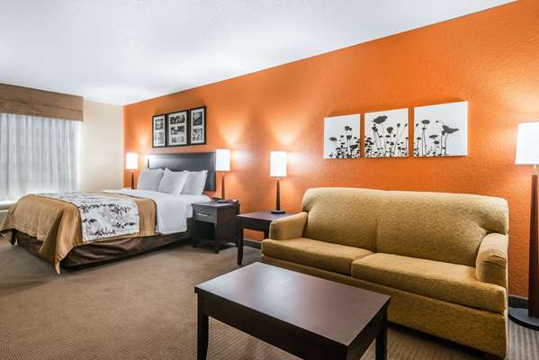 Suite - Sleep Inn & Suites Ocala - I-75, Exit 341