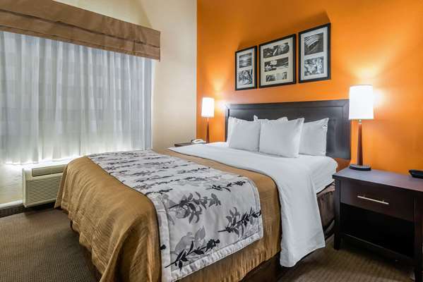 Suite - Sleep Inn & Suites Ocala - I-75, Exit 341