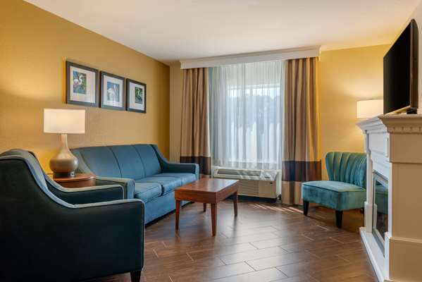 Suite - Comfort Suites Lady Lake