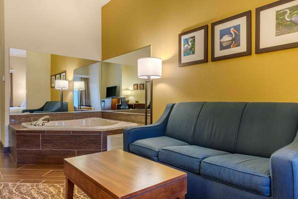 Suite - Comfort Suites Lady Lake