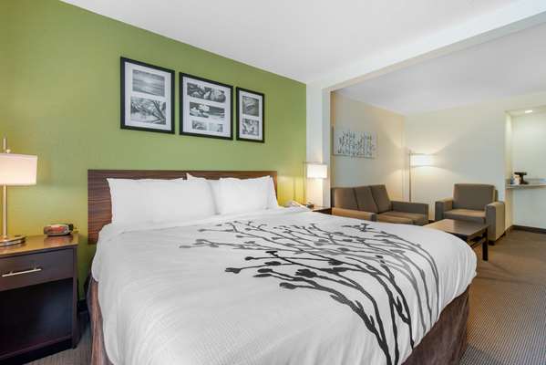 Suite - Sleep Inn & Suites Port Charlotte