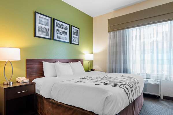 Suite - Sleep Inn & Suites Port Charlotte