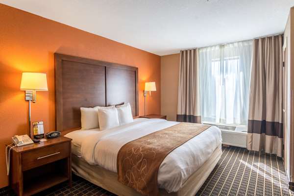 Suite - Comfort Suites Panama City Beach