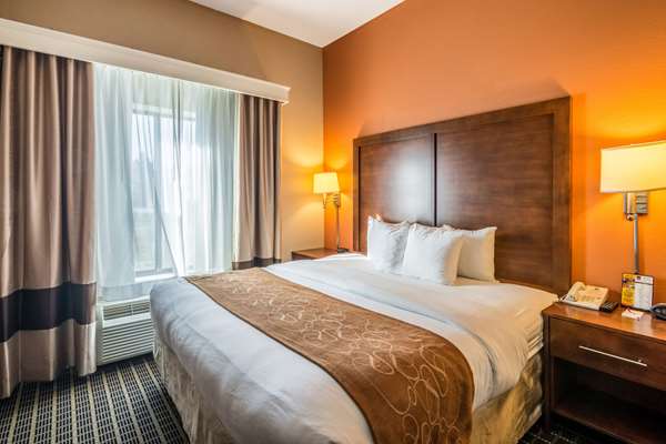 Suite - Comfort Suites Panama City Beach