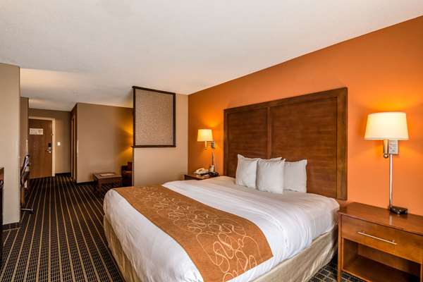 Suite - Comfort Suites Panama City Beach