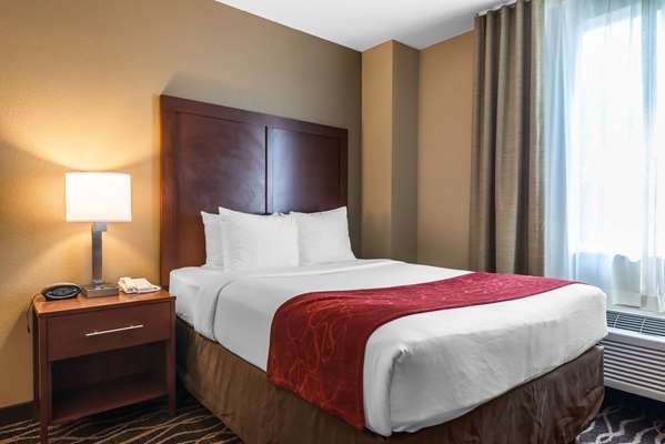  - Comfort Suites Northwest Tampa