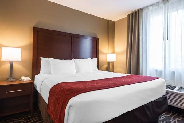  - Comfort Suites Northwest Tampa