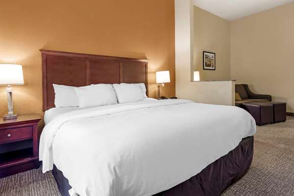 Suite - Comfort Suites Ocala - I-75, Exit 354