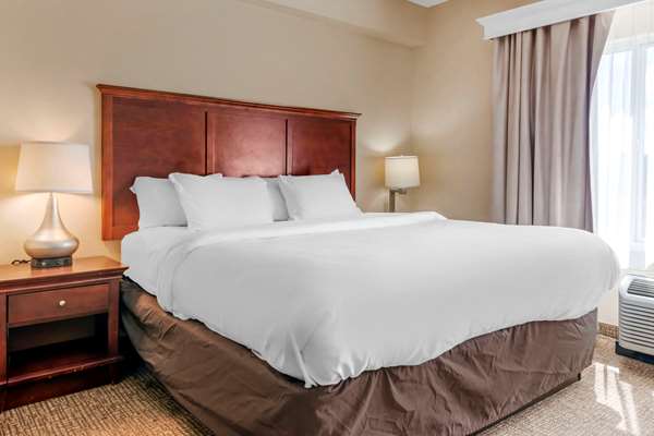 Suite - Comfort Suites Ocala - I-75, Exit 354