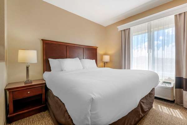 Suite - Comfort Suites Ocala - I-75, Exit 354