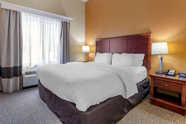 Suite - Comfort Suites Ocala - I-75, Exit 354
