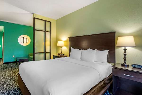  - Comfort Suites at Fairgrounds Tampa - I-4, Exit 7