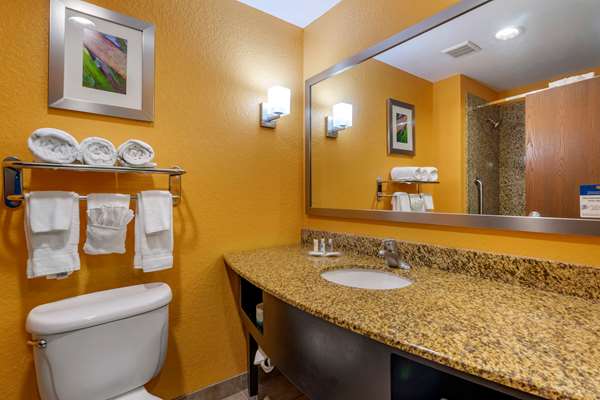  - Comfort Suites at Fairgrounds Tampa - I-4, Exit 7