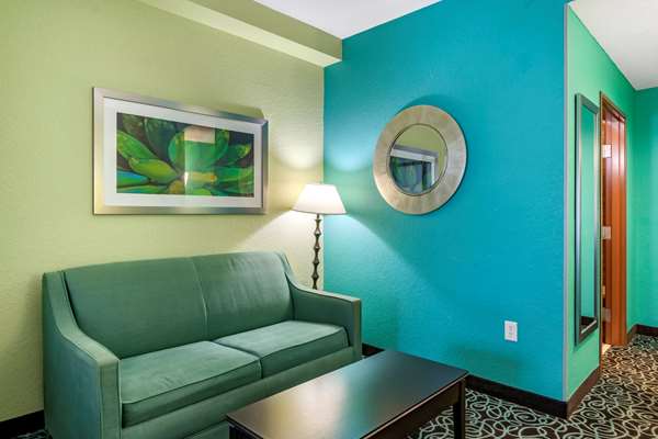  - Comfort Suites at Fairgrounds Tampa - I-4, Exit 7