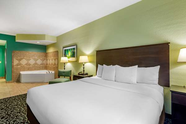  - Comfort Suites at Fairgrounds Tampa - I-4, Exit 7