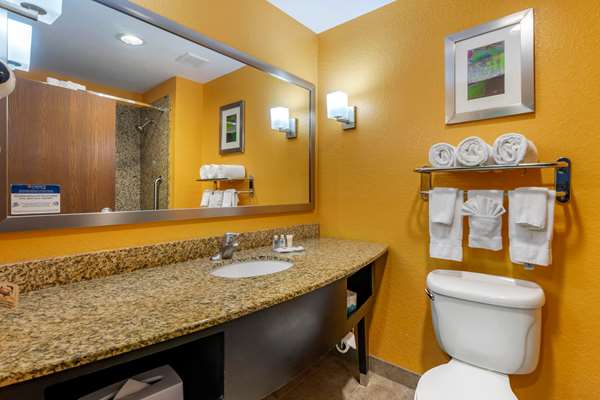  - Comfort Suites at Fairgrounds Tampa - I-4, Exit 7