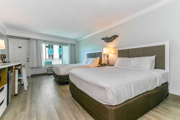 Suite - Winter the Dolphins Beach Club Resort Clearwater Beach