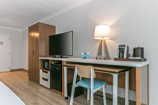 Suite - Winter the Dolphins Beach Club Resort Clearwater Beach