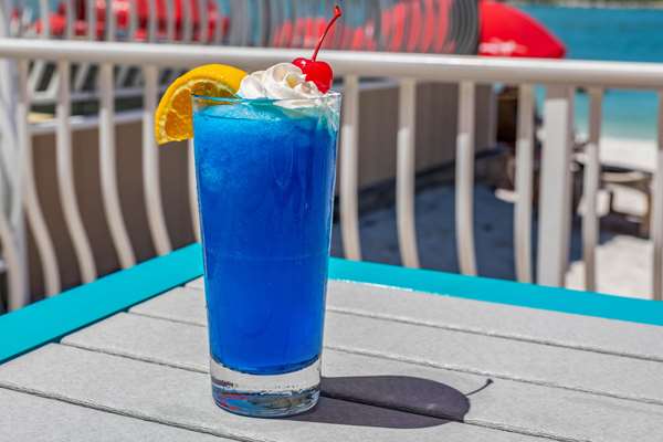 Restaurant - Winter the Dolphins Beach Club Resort Clearwater Beach