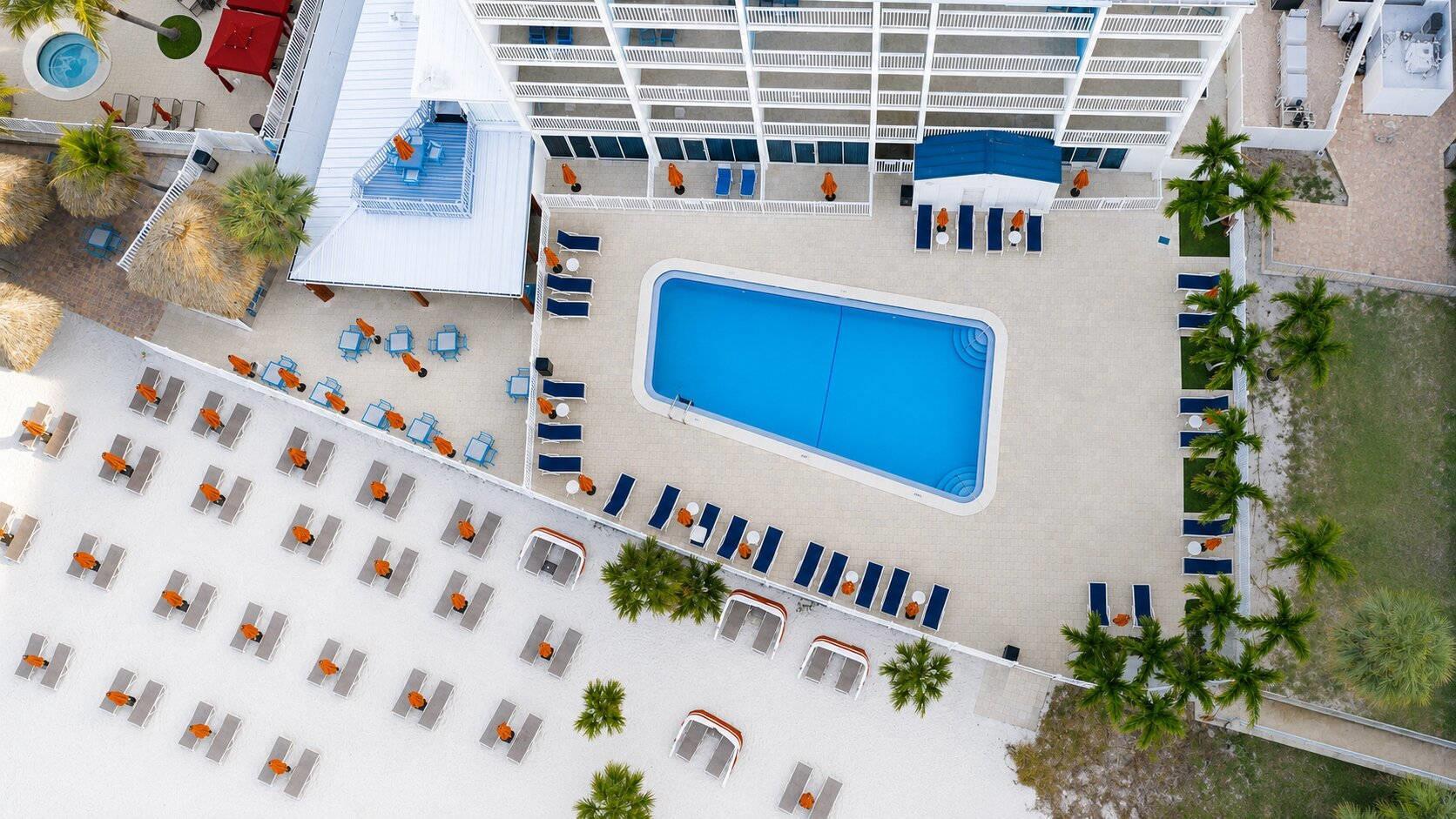 Outdoor pool | Winter the Dolphins Beach Club, Ascend Hotel Collection