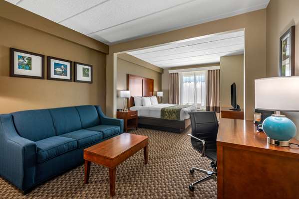  - Comfort Inn & Suites The Villages Wildwood - FL Turnpike, Exit 304