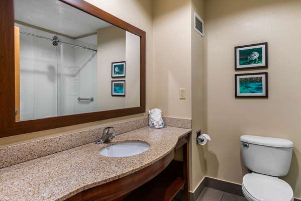 Suite - Comfort Inn & Suites The Villages Wildwood - FL Turnpike, Exit 304